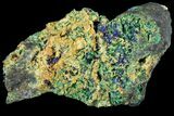 Sparkling Azurite and Malachite Crystal Cluster - Morocco #74388-2